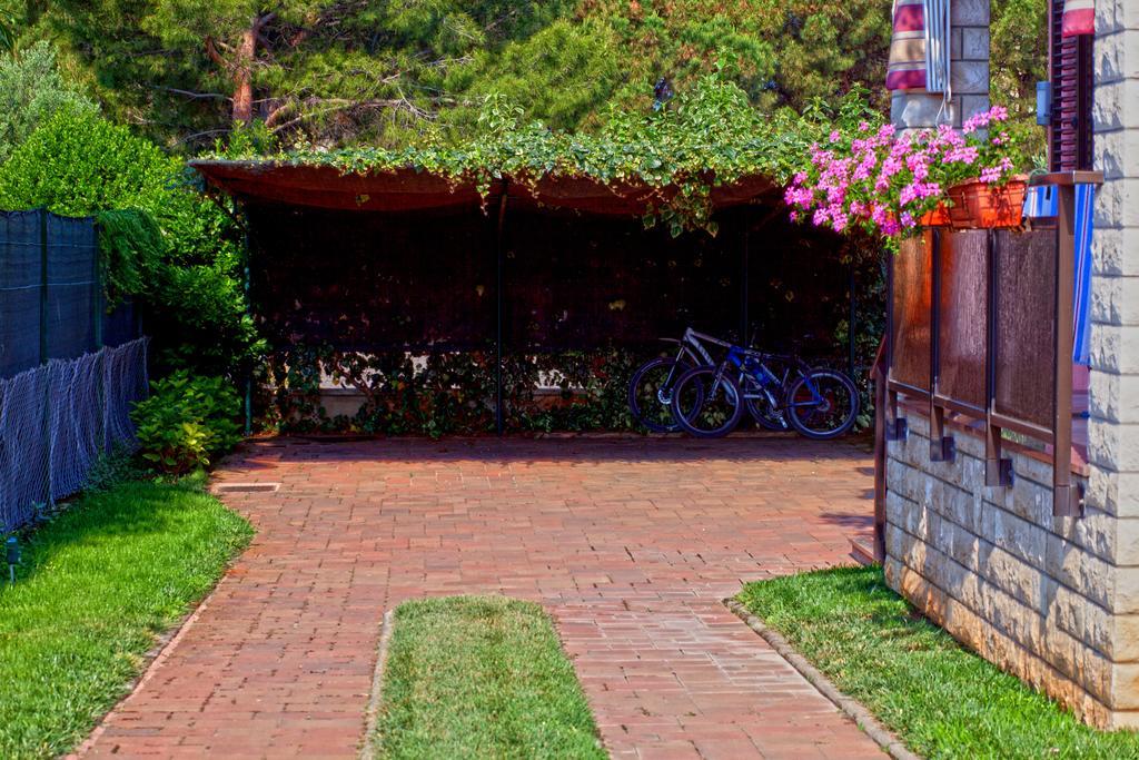 Apartments Daniela Новиград Экстерьер фото